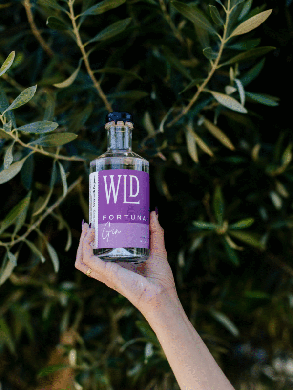 FORTUNA GIN