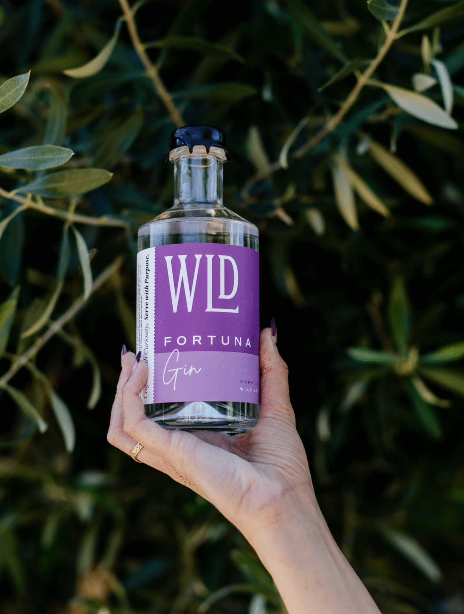FORTUNA GIN