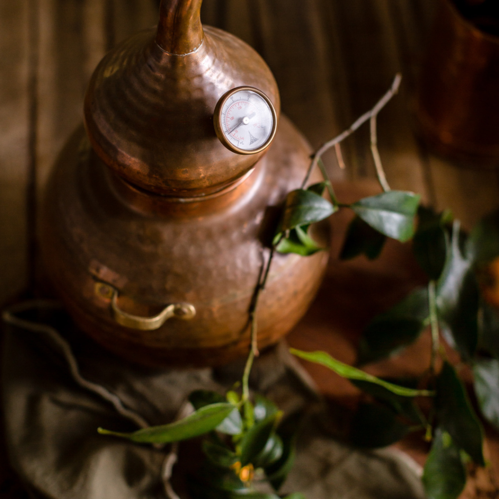 Small but Mighty – The Heart of Wild Lot Distillery