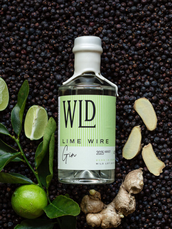 LIME WIRE