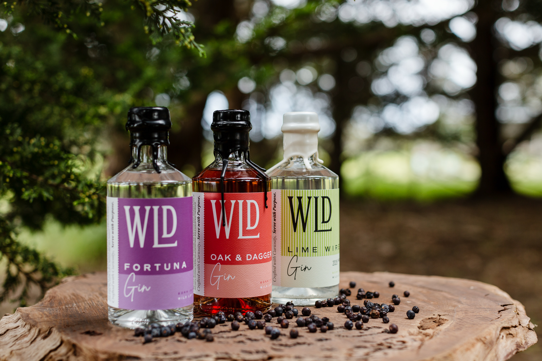 Ambiance imagery reflecting the Wild Fortune casino theme